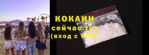 ПСИЛОЦИБИНОВЫЕ ГРИБЫ Заволжье