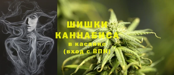 ПСИЛОЦИБИНОВЫЕ ГРИБЫ Заволжье