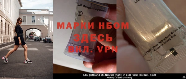 ПСИЛОЦИБИНОВЫЕ ГРИБЫ Заволжье