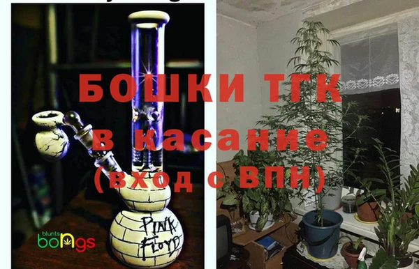 ПСИЛОЦИБИНОВЫЕ ГРИБЫ Заволжье