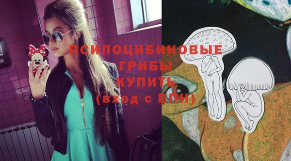 ПСИЛОЦИБИНОВЫЕ ГРИБЫ Заволжье