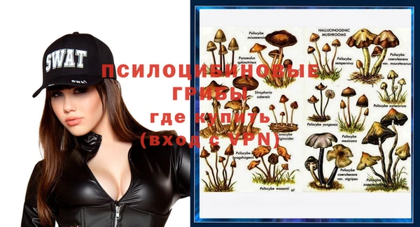 ПСИЛОЦИБИНОВЫЕ ГРИБЫ Заволжье