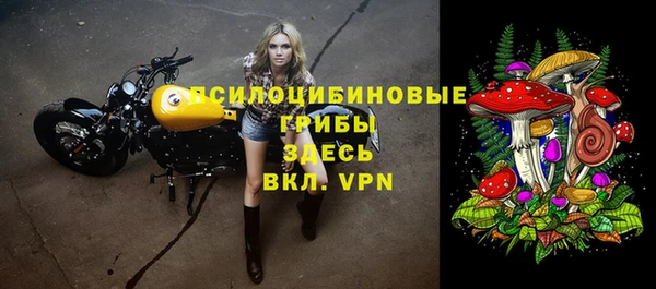 ПСИЛОЦИБИНОВЫЕ ГРИБЫ Заволжье