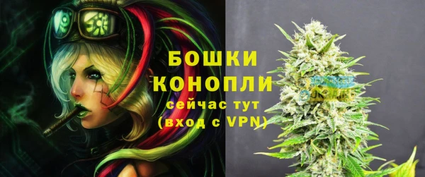ПСИЛОЦИБИНОВЫЕ ГРИБЫ Заволжье