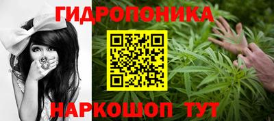 jwh Кимры