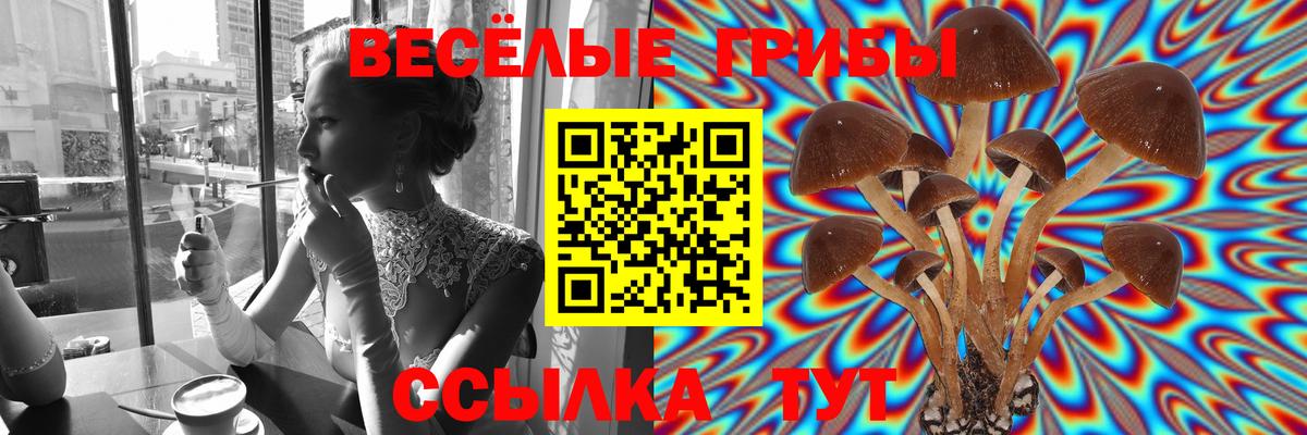 Галлюциногенные грибы прущие грибы Южно-Сахалинск