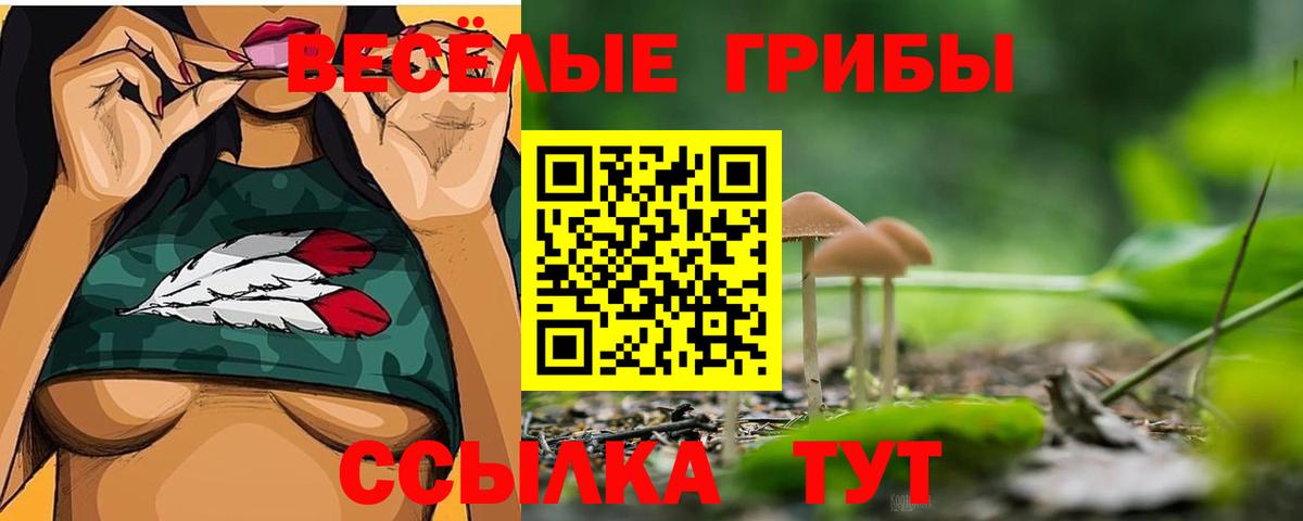 Псилоцибиновые грибы прущие грибы  Галлюциногенные грибы Psilocybine cubensis  Южно-Сахалинск  Вход с VPN 